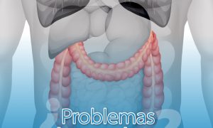 colon colon